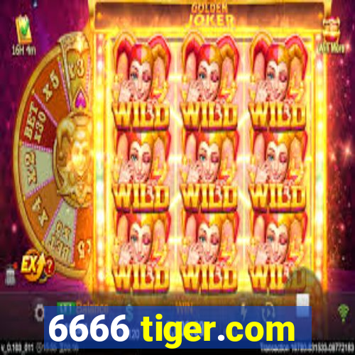 6666 tiger.com